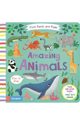 Amazing Animals (First Facts and Flaps)